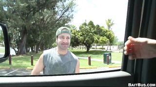 Catching The Wild One