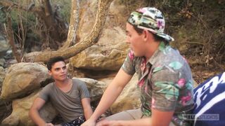 Natural Curiosity (2017)